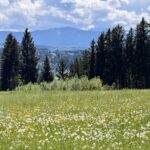 4. Tag Bad Wörishofen-Garmisch-Partenkirchen